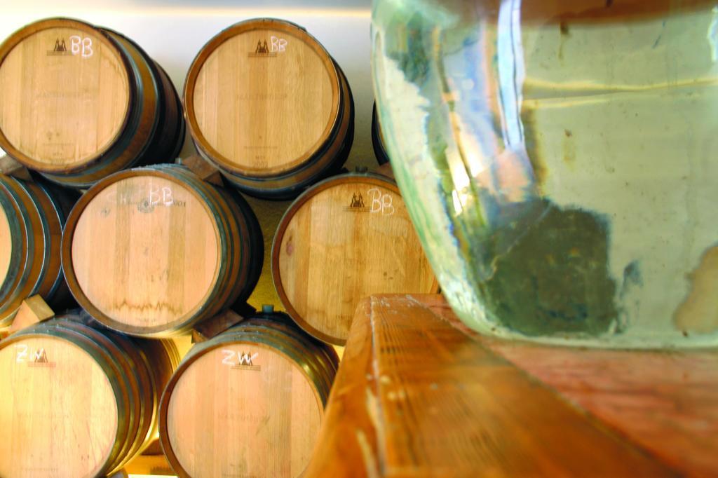 ホテル Weingut Martinshof Sankt Ulrich  エクステリア 写真