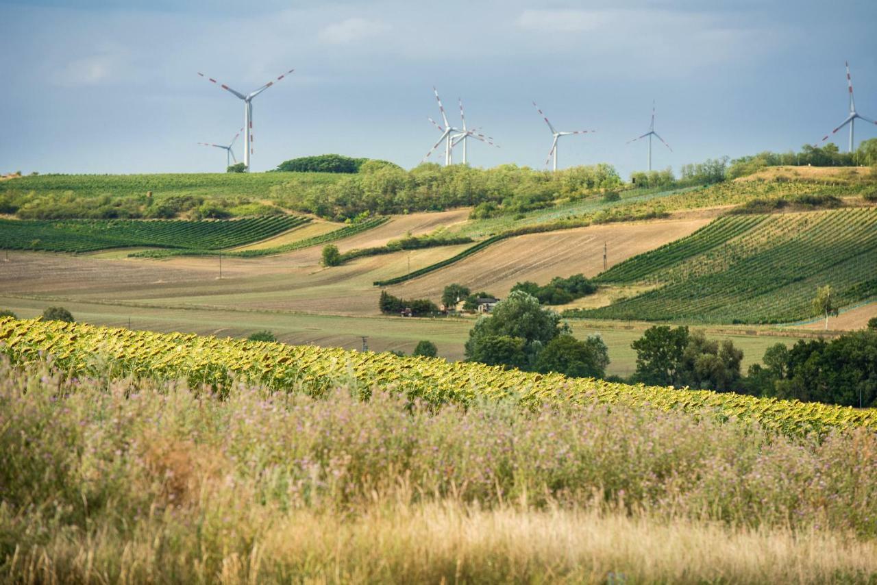 ホテル Weingut Martinshof Sankt Ulrich  エクステリア 写真